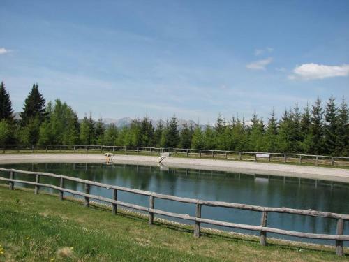 Apartmaji Srnca