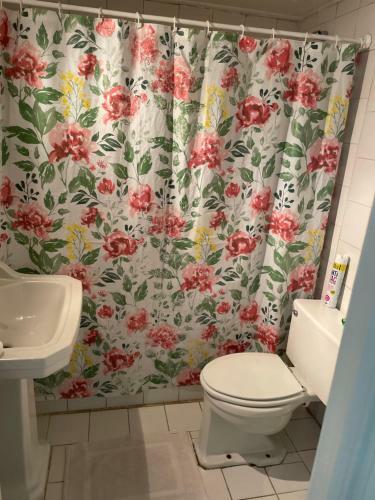 Roommate Vi�a