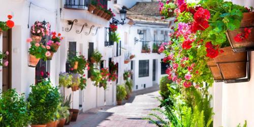 Apartamento Cheap & Chic In Benalmadena - Ct 105