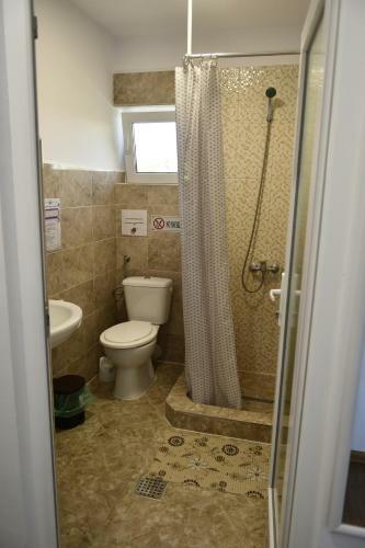 Hostal Pensiunea Codalb