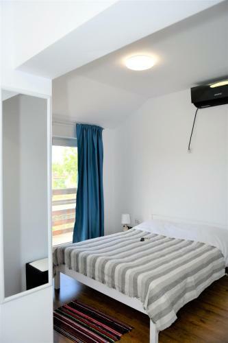 Hostal Pensiunea Codalb