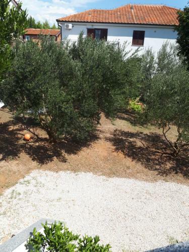 Apartmani Korina