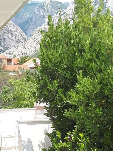 Apartmani Korina
