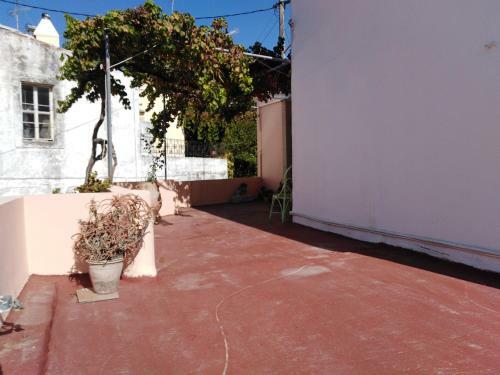 House Of Vine