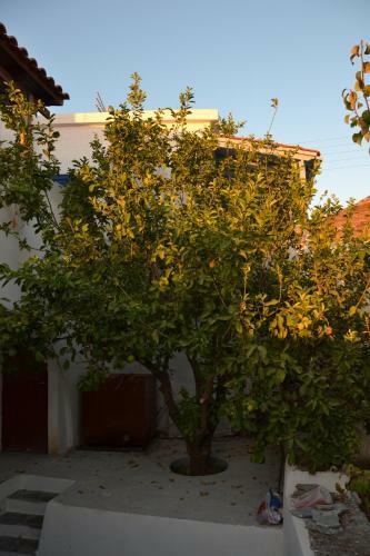 Old Stone House Roussou