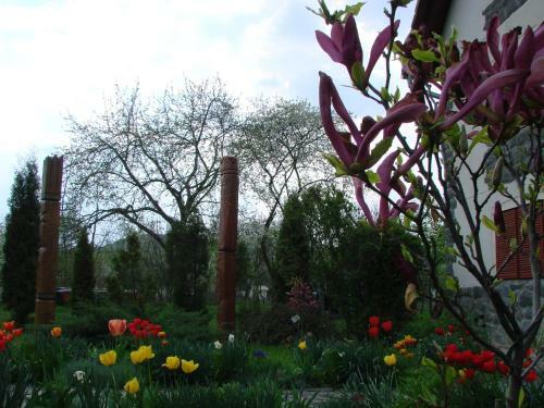 Hostal Pension Magnolia 1