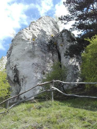 Hostal Pavlov D?vicky