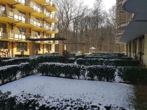 Apartamento ?winouj?cie Zdrojowa