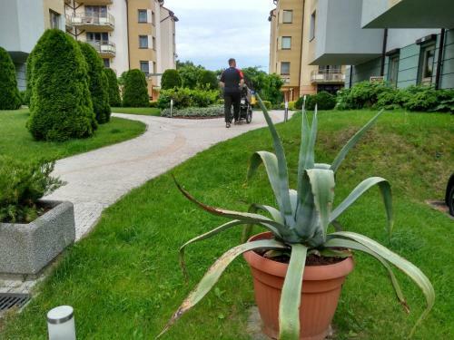 Apartamento ?winouj?cie Zdrojowa