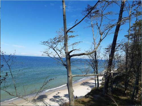 Apartament Morska