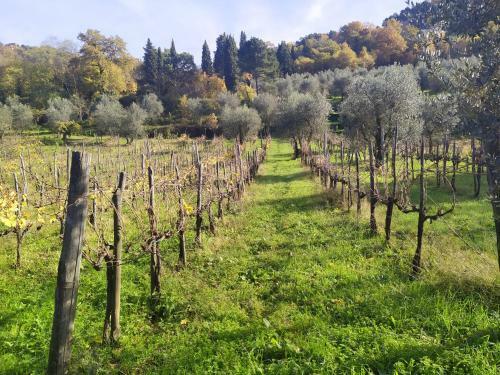 Hostal Elegante Affittacamere Relax E Natura Vicino Firenze