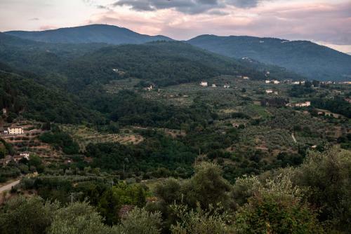 Hostal Elegante Affittacamere Relax E Natura Vicino Firenze