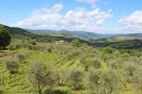 Hostal Elegante Affittacamere Relax E Natura Vicino Firenze
