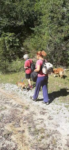 Apartamento La Casetta Di Ale E Del Dog Trekking