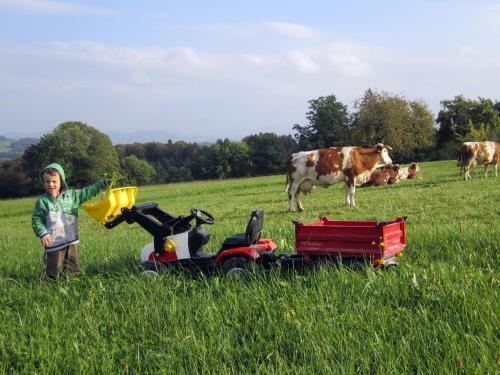 Agroturismo Baby- Und Kinderhof Aicherbauer