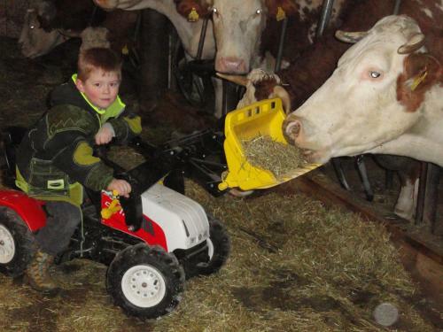Agroturismo Baby- Und Kinderhof Aicherbauer