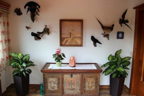Hostal Sonnhof