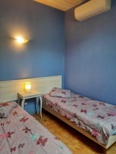 G�te de La Grenouille - 5-7 Places - Vall�e D'aure