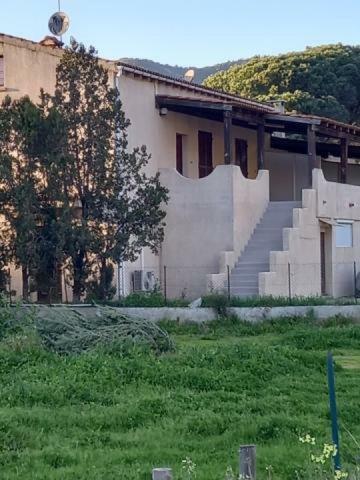Apartamento U Palmu