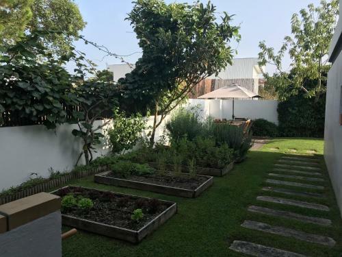Casa Do Pinheiro