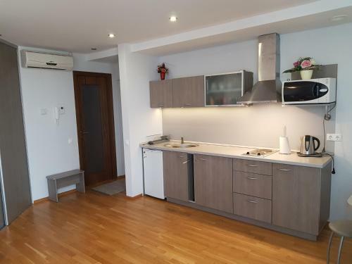 Apartamentai Elija Sventoji
