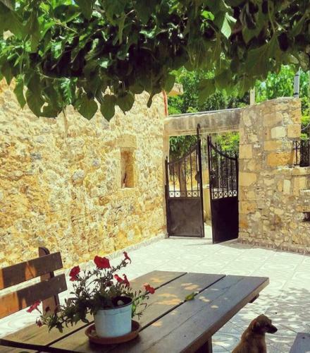 Luxurious Stone Apartment 1