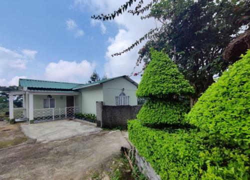 Bed & Breakfast Stopover@shillong