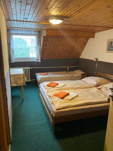 Hostal Penzion Hubertus Doubice