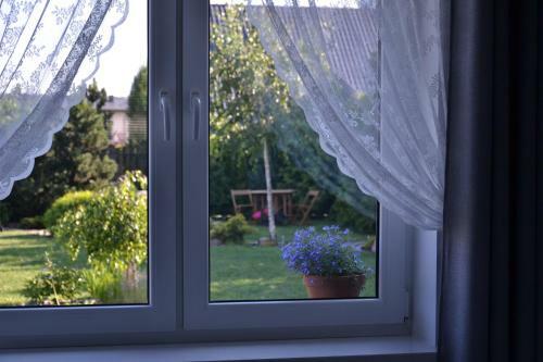 Apartament Garden