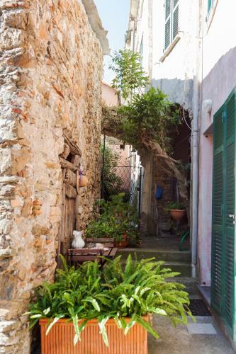 Casa Degli Archi