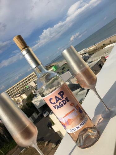 Apartamento Studio Naturiste Luxury Cap D Agde Vue Mer