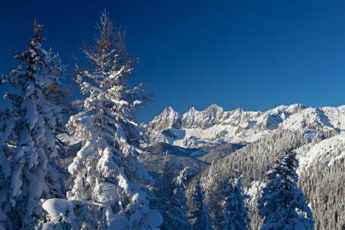 Alpenblick Apartments