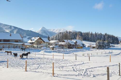 Hostal Vorberghof