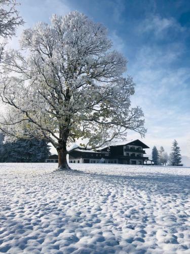 Hotel-pension Herold