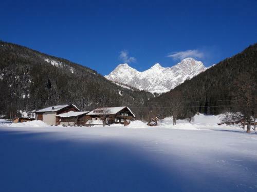 Apartamento Sattlehnerhof