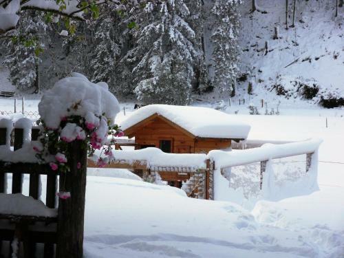 Apartamento Sattlehnerhof