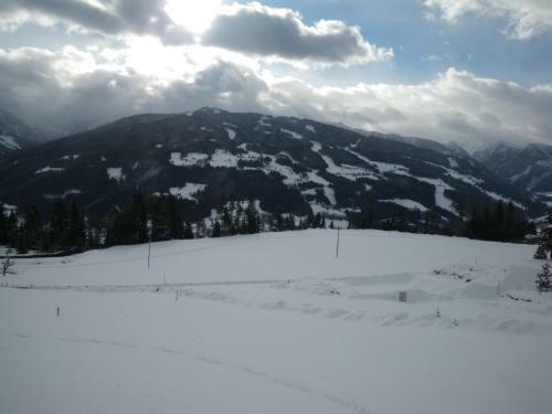 Austrian Alpine Apartments
