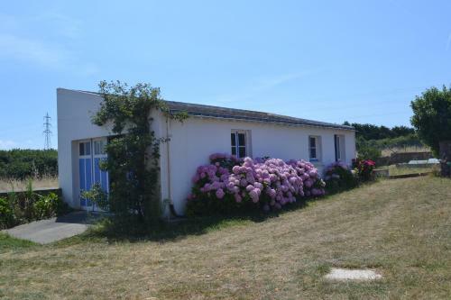 Bed & Breakfast Coride