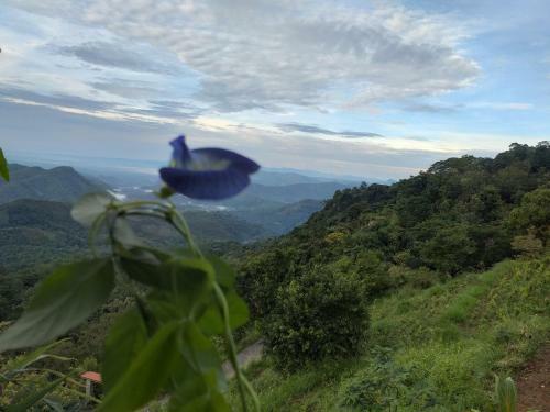 Posada Aurora Village Inn Haputale Srilanka-