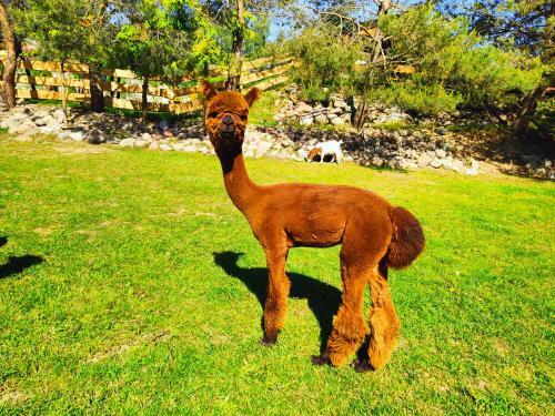 Apartament Na Wzg�rzu