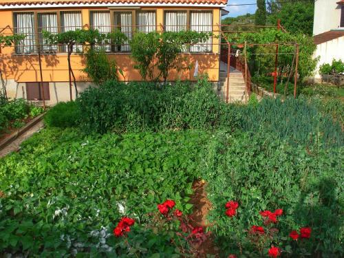 Apartments Sokolic