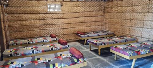 Hostal Coconut Tree Guest House