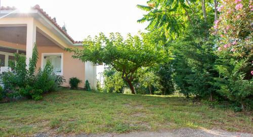 Villa With Private Garden