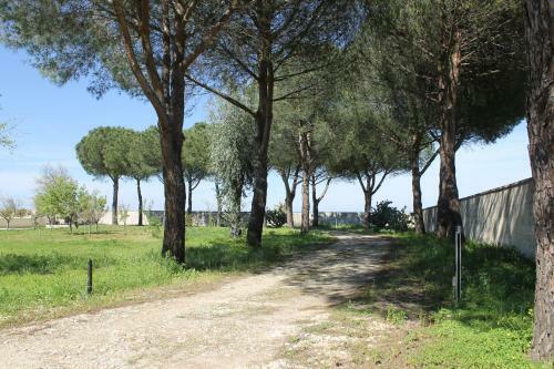 B&B Villa 16 Pini