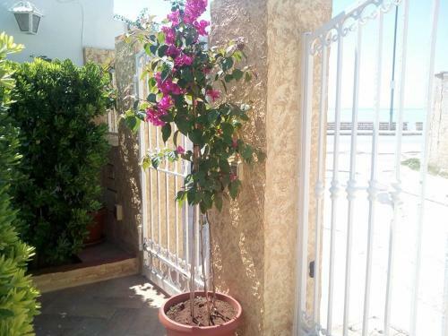 Casa Vacanze Sciaraba