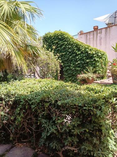Bed & Breakfast Villa Grande