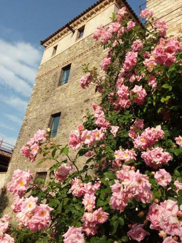 Agroturismo Agriturismo Ca' Preda
