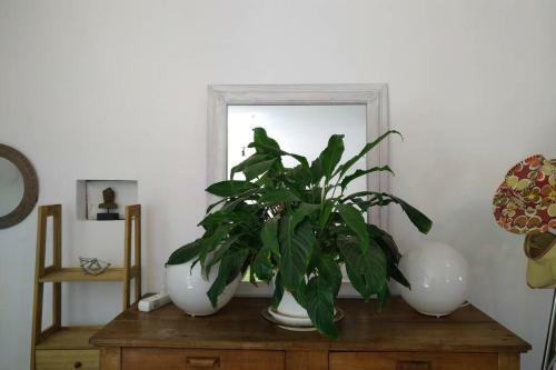 Villa Gardenlofthouse