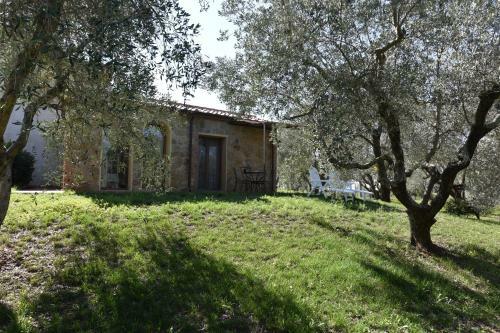 Villa Lorena