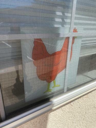 Apartamento Red Hen Rental - Newly Remodeled